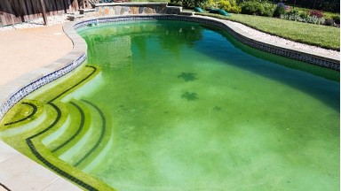 Как сохранить бассейн без эксплуатации