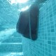 Робот-пылесоc для бассейна dolphin Liberty 200