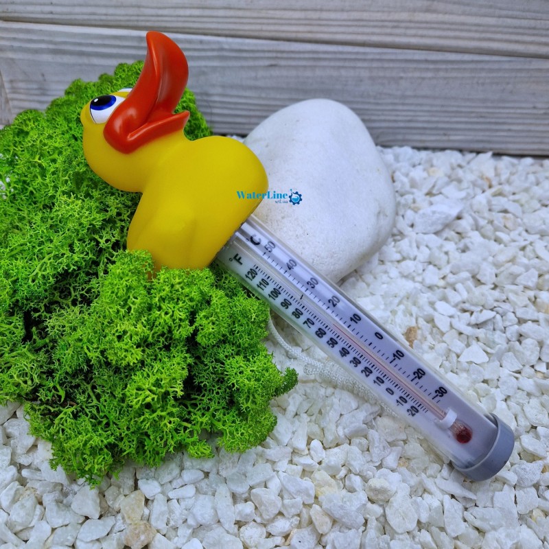 Термометр-іграшка для басейну Kokido K785BU/6P Качка